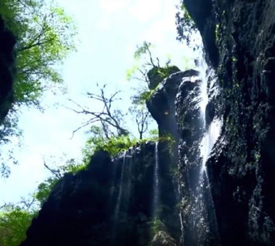 青山綠水，白龍江畔江畔息白鷺，兩岸綠橄欖入眼的都是純樸自然枝上花開(kāi)，春來(lái)水暖魚(yú)蝦戲水，鳥(niǎo)語(yǔ)花香心中充滿(mǎn)著舒暢之感祥宇生態(tài)產(chǎn)業(yè)園，位于隴南市武..